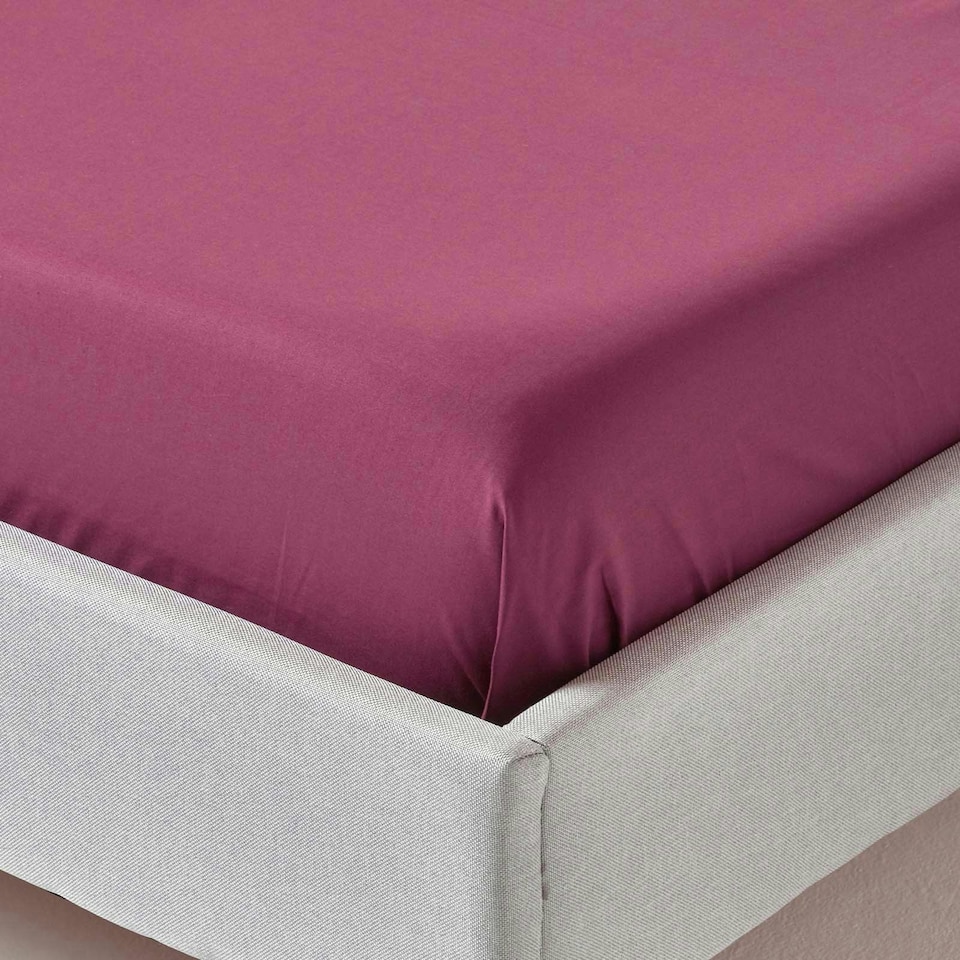 image 1 of Homescapes Plum Egyptian Cotton Flat Sheet 200 TC, King | Purple | King