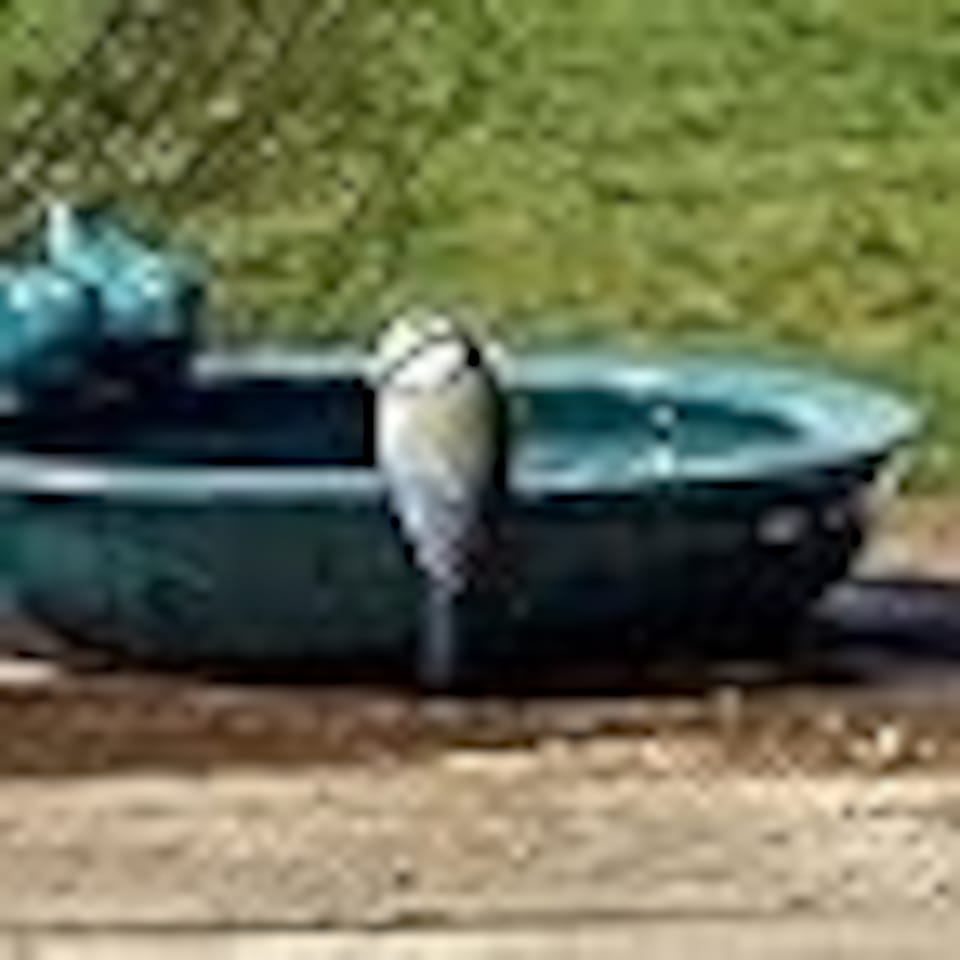 image 1 of Bird Bath Ceramic Round (Petrol Blue)