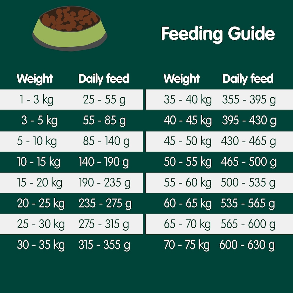 image 1 of Arden Grange Adult Dog Food With Fresh Lamb and Rice - 12kg