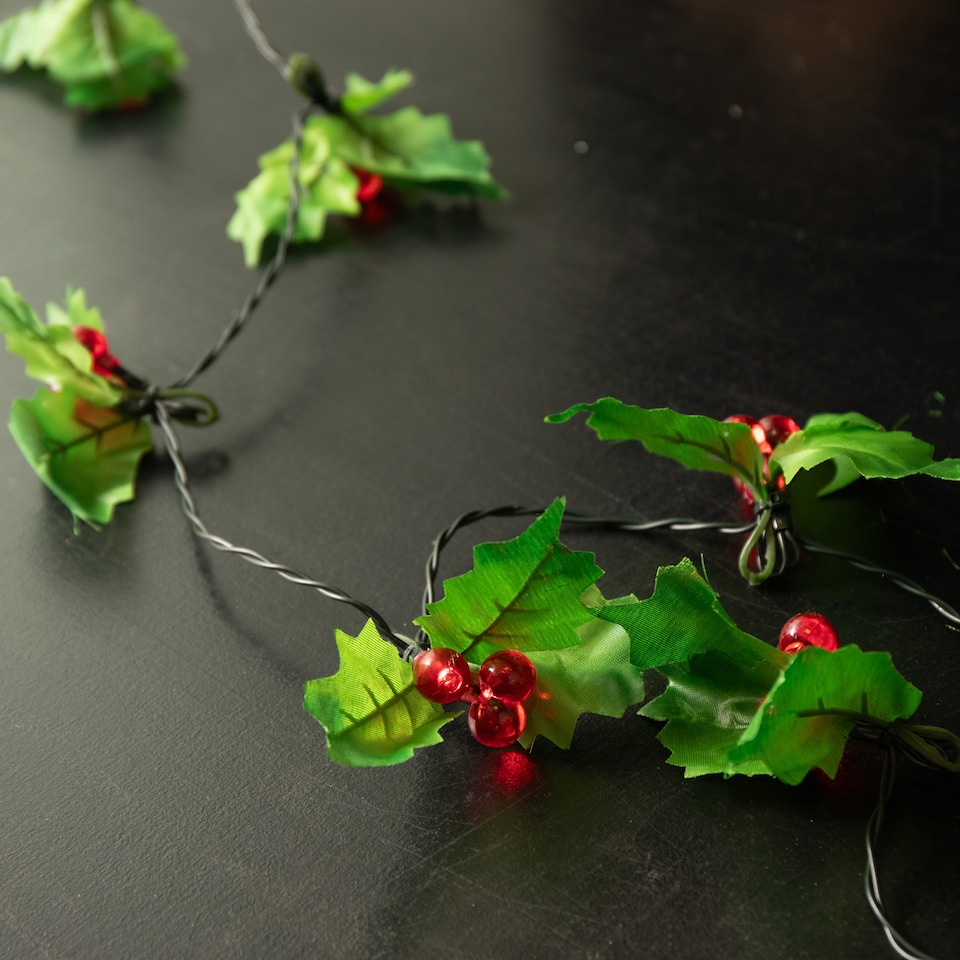 image 1 of Indoor Outdoor 100 Christmas LED Red Berry And Holly Lights Green Cable