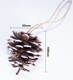 image 2 of St Helens White Tipped Hanging Pinecone - Set Of 6