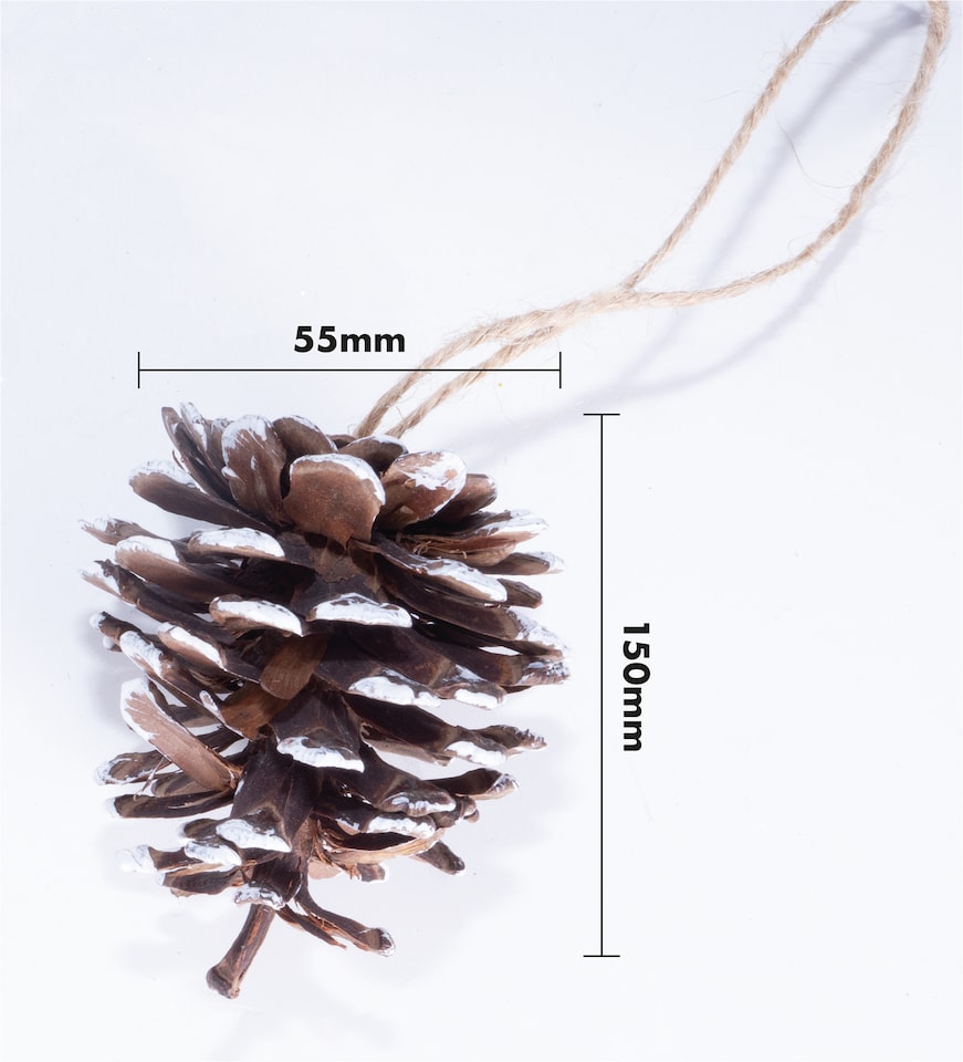 image 1 of St Helens White Tipped Hanging Pinecone - Set Of 6
