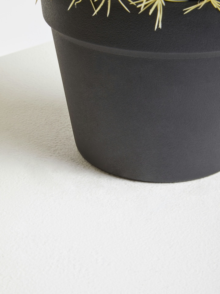 image 1 of Interiors by Premier Fiori Artificial Cactus in Plastic Pot, Desert-Inspired Faux Plant for Windowsill or Tabletop