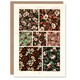image 1 of Albert Racine Art Card Pink Green Floral Patterns