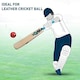 image 2 of Gunn And Moore Diamond 202 Cricket Bat - Cream/White/Blue - 4