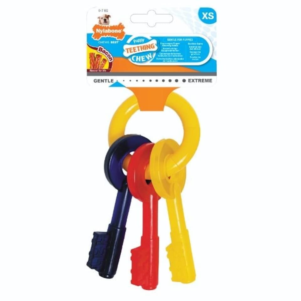 Nylabone Puppy Teething Chew Keys Bacon Xtra Small