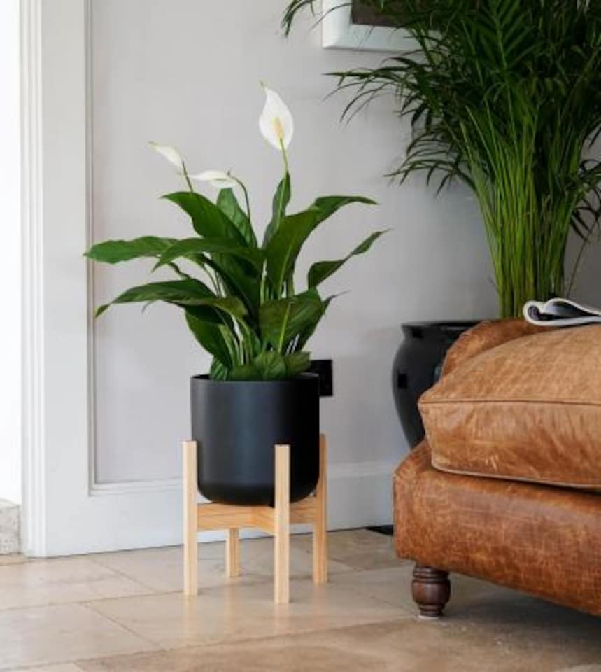 image 1 of Lisbon Pot and Stand - Ceramic - L20.5 x W20.5 x H34.5 cm - Anthracite