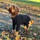 image 1 of Four Legged Dog Fleece - XXL / Black Black | XXL