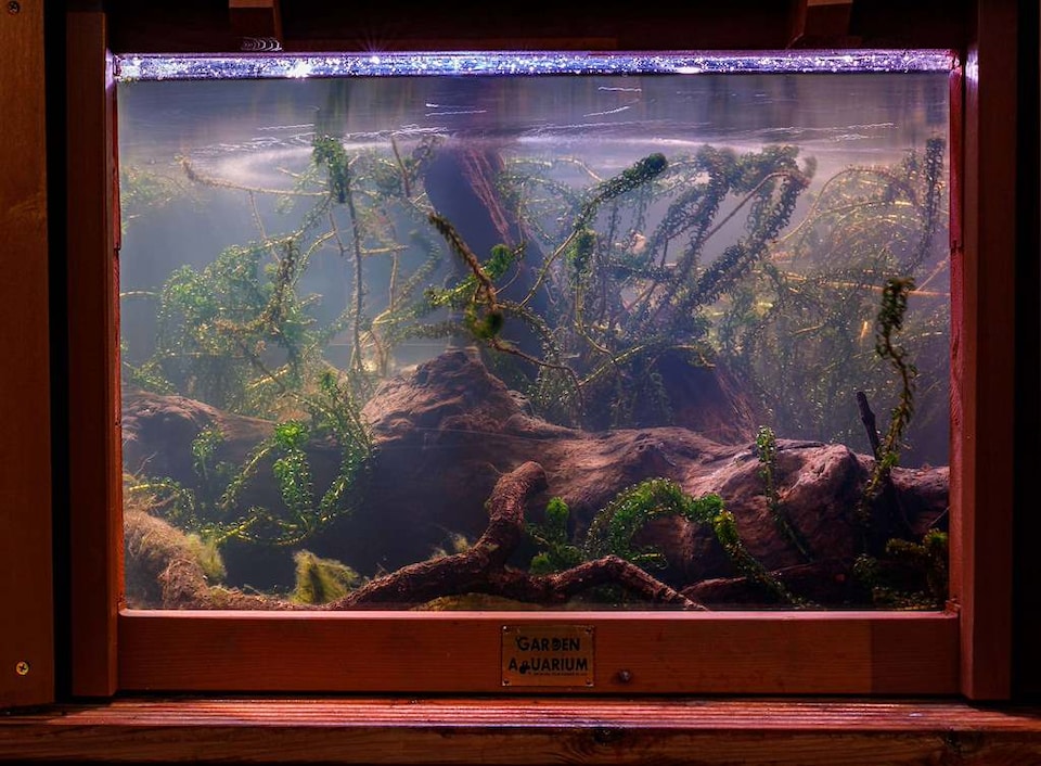 image 1 of Raised hexagon pond with large windows Lily Clear View Garden Aquarium in Natural Brown