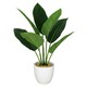 image 1 of 45cm Artificial Aureum Plant