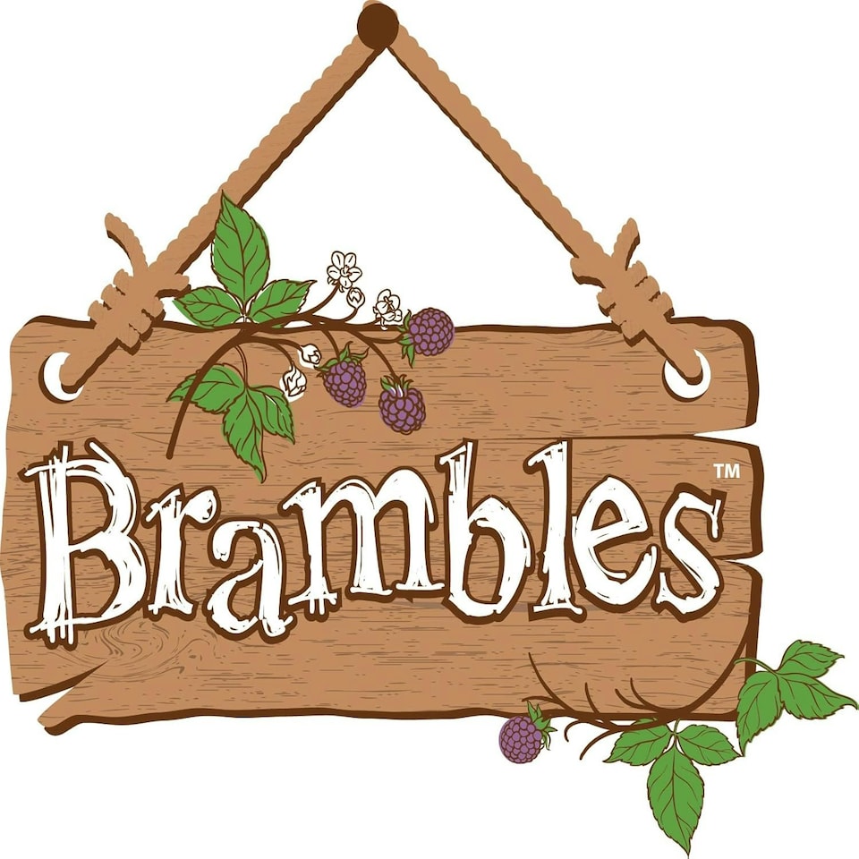 image 1 of Brambles Meaty Hedgehog Food 12 x 400 g
