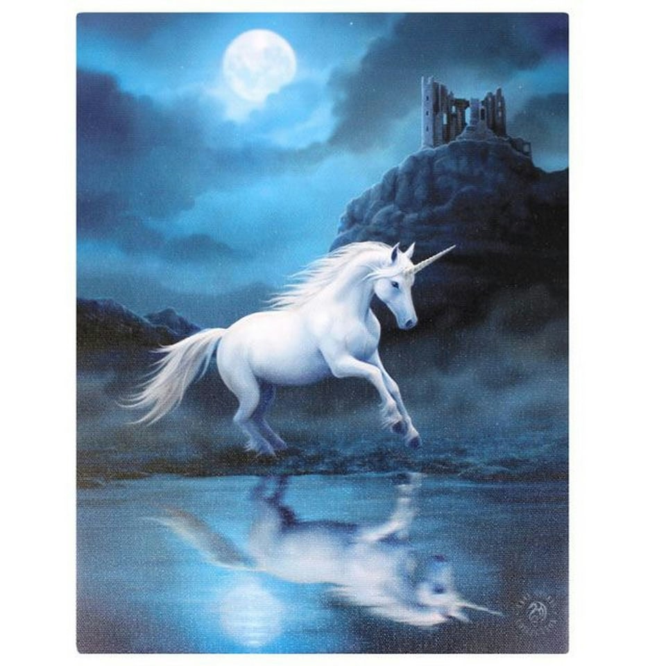Anne Stokes Moonlight Unicorn Canvas - White - Small