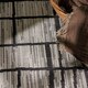 image 8 of Ted Baker Indoor Outdoor Crouch Round Abstract Rug