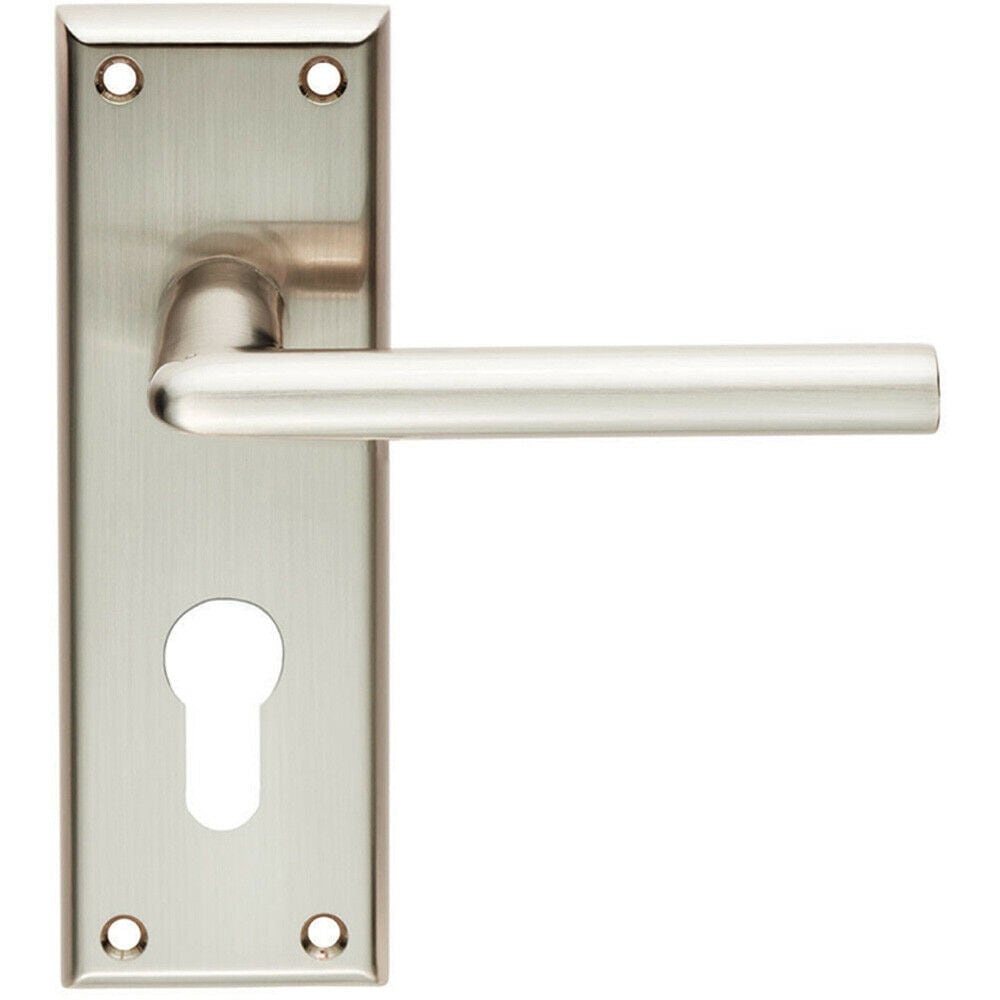 Loops PAIR Rounded Lever on Euro Lock Backplate Handle 150 x 50mm Satin Nickel in Metallics