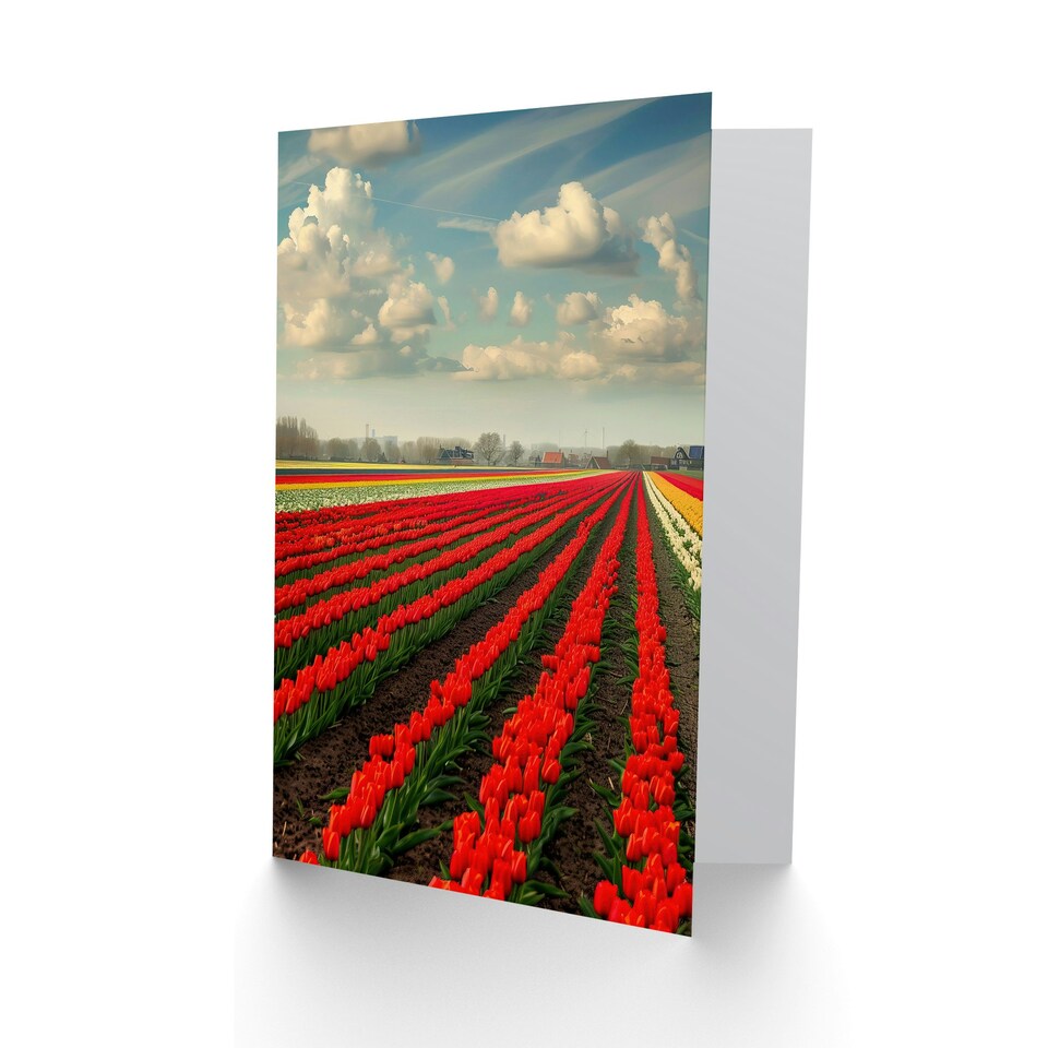 image 1 of Tulip Fields Sky Holland Modern Him Her Birthday Card