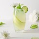 image 5 of LAV Empire Highball Glasses - 510ml - Clear - Pack of 6 | Clear | Transparent