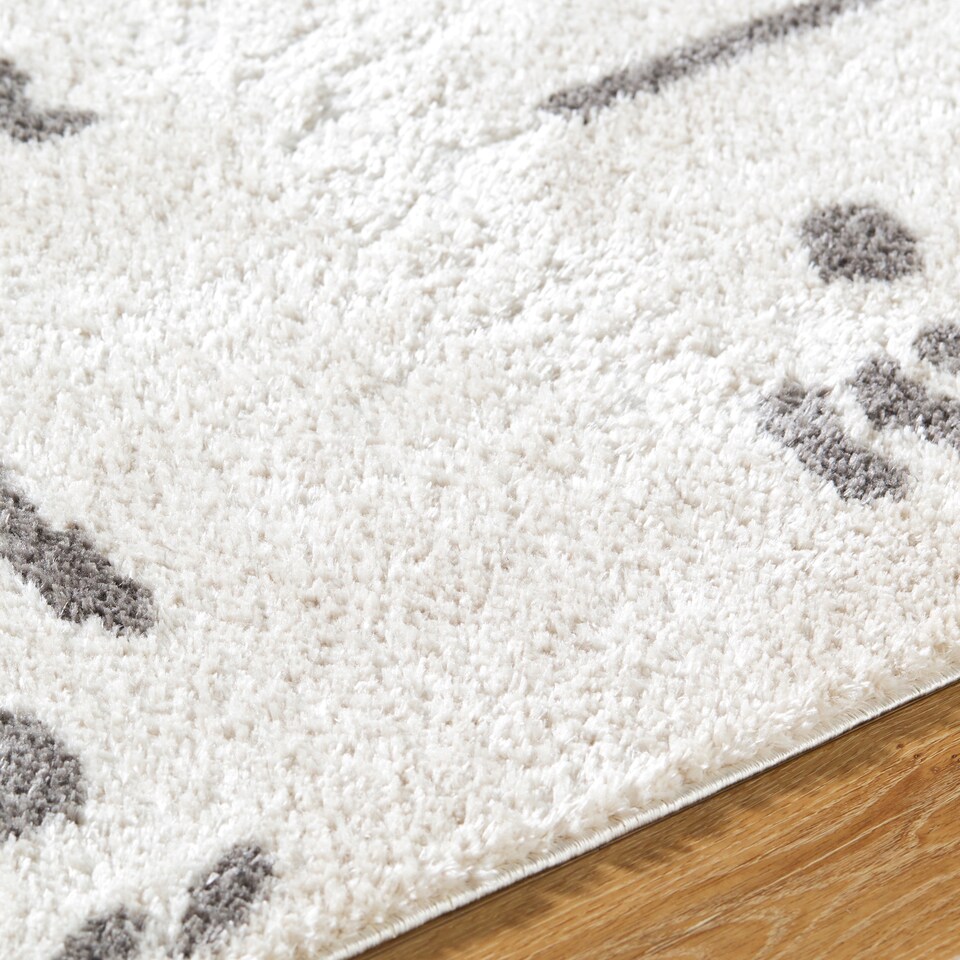 image 1 of LIVABLISS Fossay Shaggy-Washable Modern High Pile Rug 120 x 170 cm | Beige Charcoal