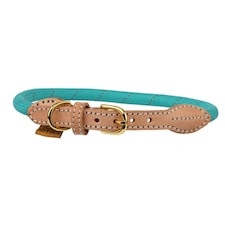 Digby & Fox Reflective Leather Dog Collar - Teal - XXL - Neckline: 63cm-70cm
