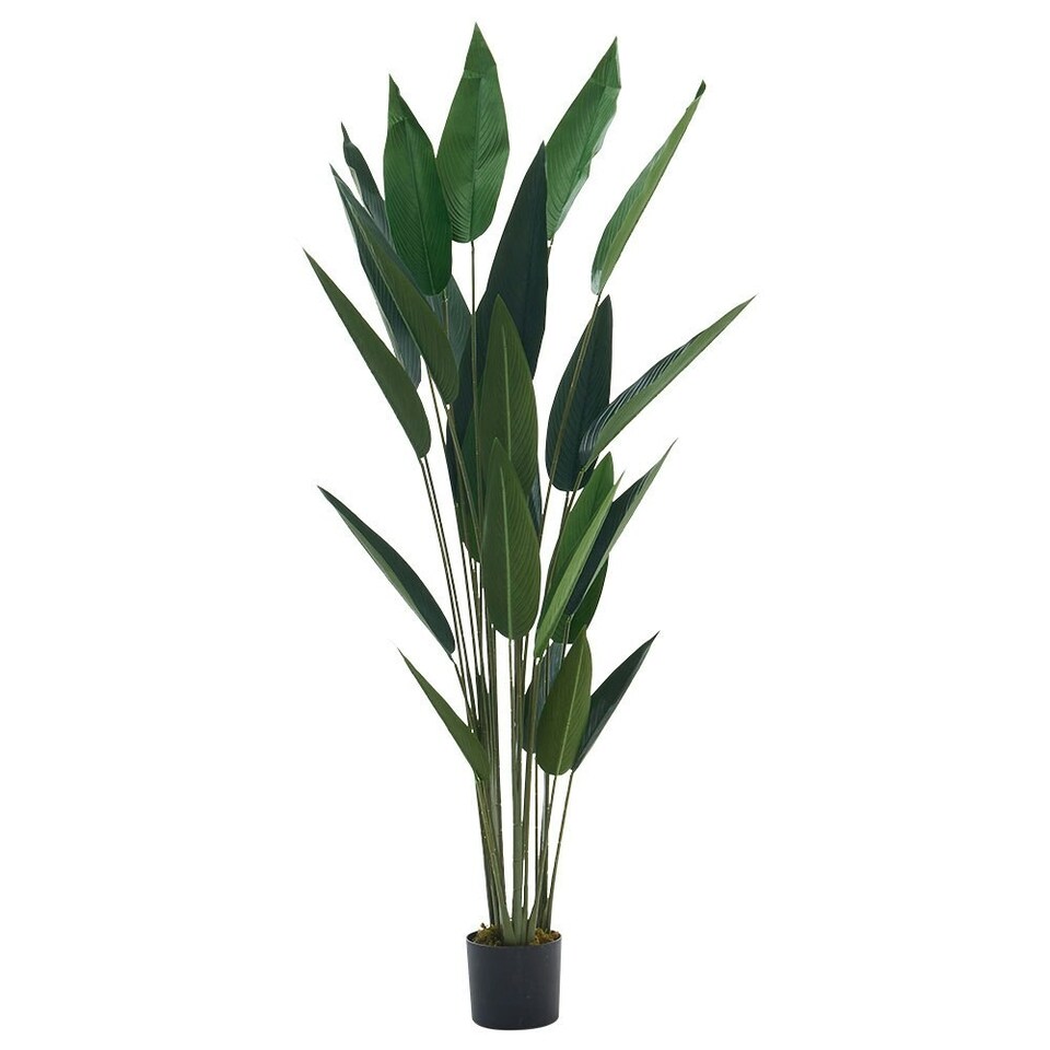 image 1 of Living and Home 180cm Artificial Bird of Paradise Plant Fake Tropical Tree in Pot
