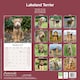 image 2 of Lakeland Terrier 2026 Calendar | Square Wall Calendar | Dog Breed Gift | Plastic Free Packaging | by Avonside Publishing