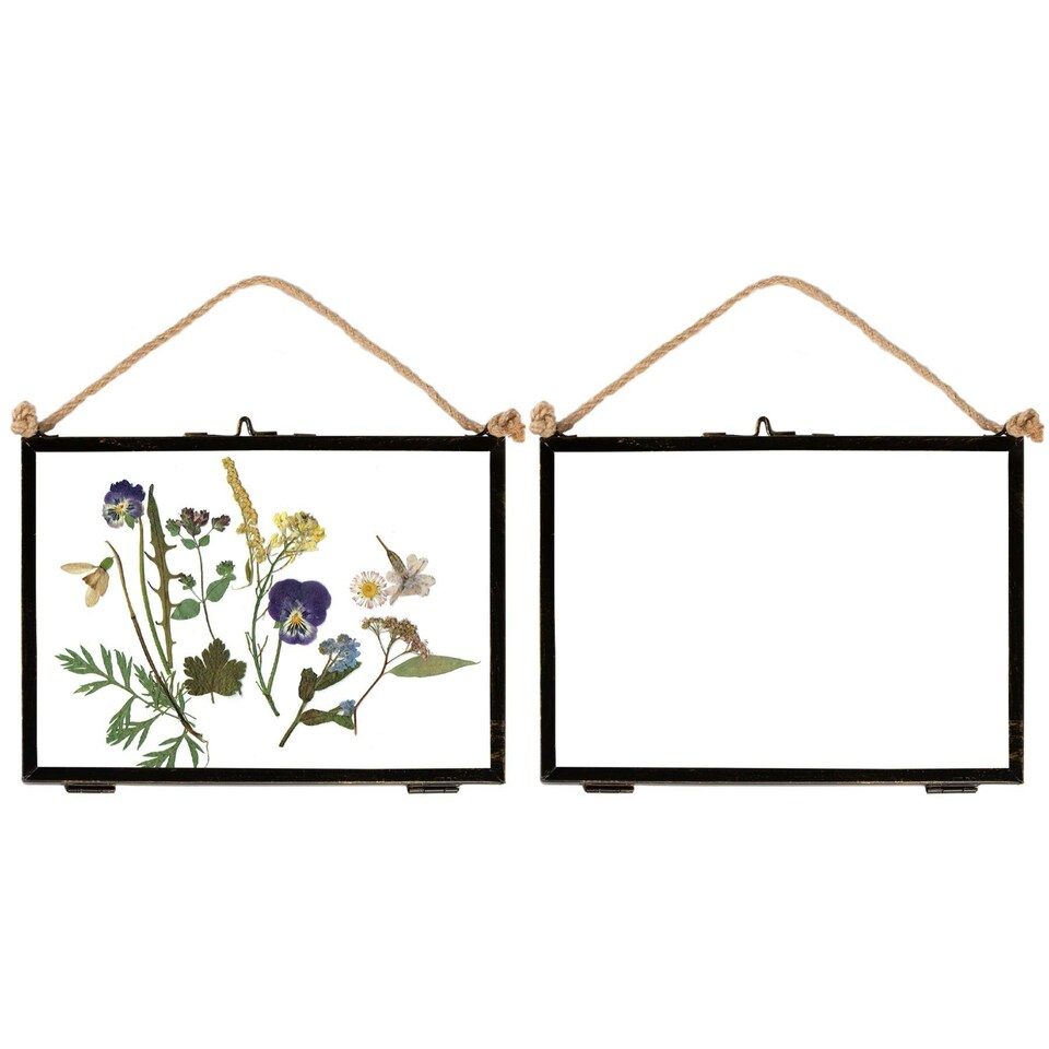 image 1 of Nicola Spring Hanging Metal Photo Frames - 7" x 5" - Black - Pack of 5 - Hanging Picture Frame Display Frame Poster Frame Picture Display Black | S