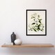 image 2 of Sarah Featon Framed Wall Art New Zealand Pikiarero White Clematis Flowers