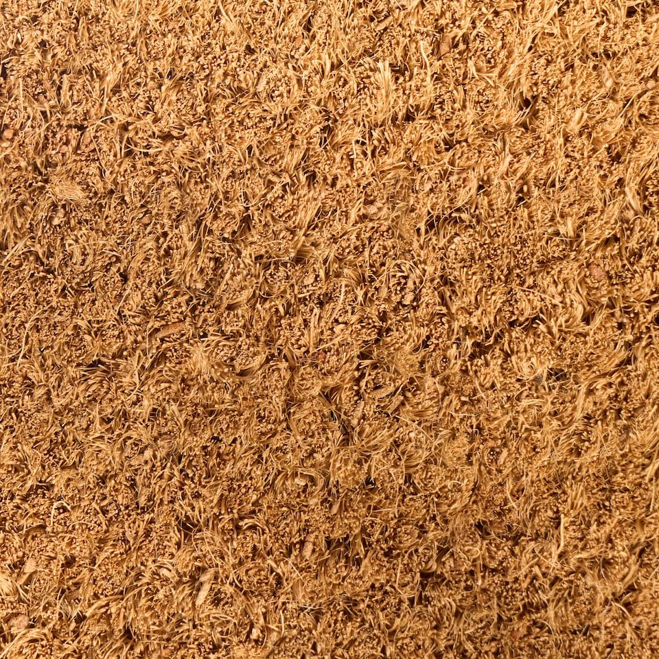 image 1 of OHS Bow Print Non Slip Coir Mat Doormat Rug