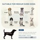 image 3 of PawHut Dog Sofa Bed, Elevated Dog Couch for Small, Medium Dogs - Grey