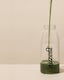 image 4 of Nuzest Good Green Vitality Multivitamin Greens Powder  5 x 10g Servings