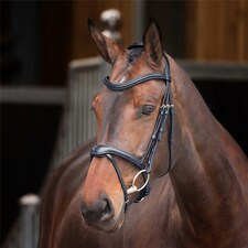 Shires Velociti Lusso Elite Flash Bridle Black | Size: X-Full
Colour: Black