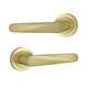 image 3 of AXS Detroit Door Handles on Rose - Door Pack - Latch Door - Satin Brass