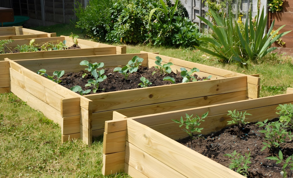 image 1 of 200L Chamberlain Garden Wooden Raised Grow Bed  100cm x 100cm