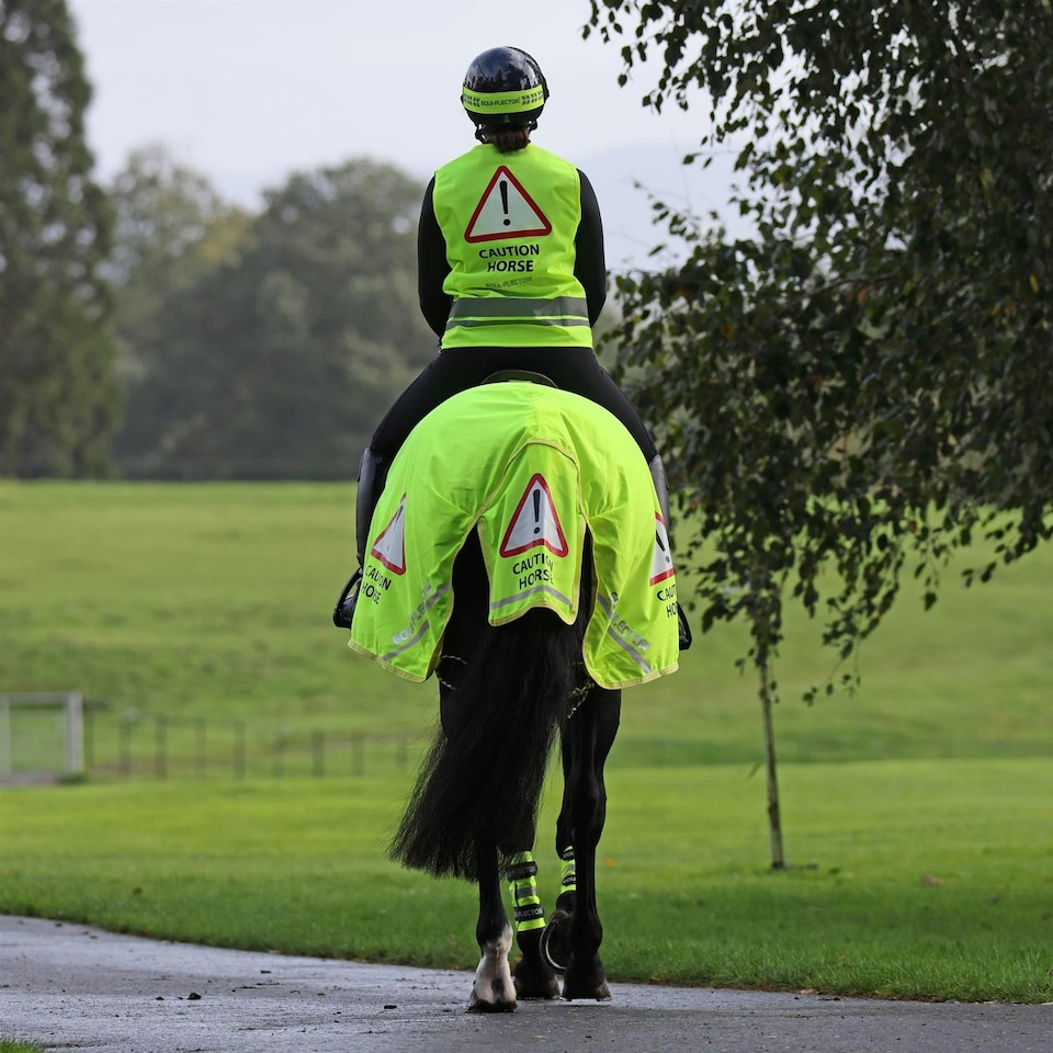 image 1 of Shires Equi-Flector® Mesh Exercise Sheet Yellow | Size: 51 Inch
Colour: Yellow