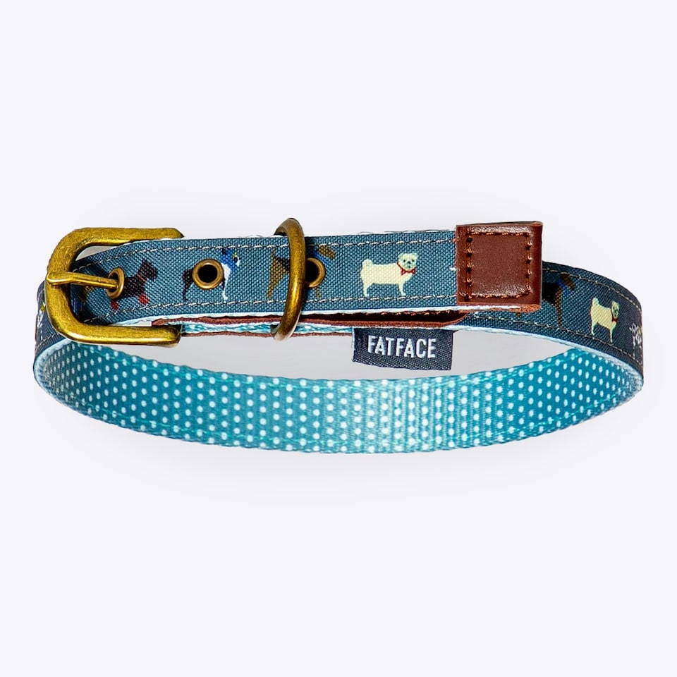image 1 of FatFace Marching Dogs Collar Medium 2cm (100% Polyester)&nbsp;&nbsp;