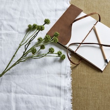 Craspedia Stem - Plastic - L5 x W7 x H60 cm - Green