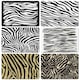 image 1 of The Zebra Print Collection (Placemat)