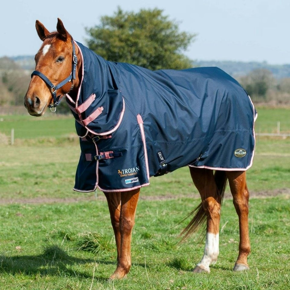 Gallop Equestrian Trojan Duraproof 50G Turnout Combo Blue | Size: 7ft 0
Colour: Navy