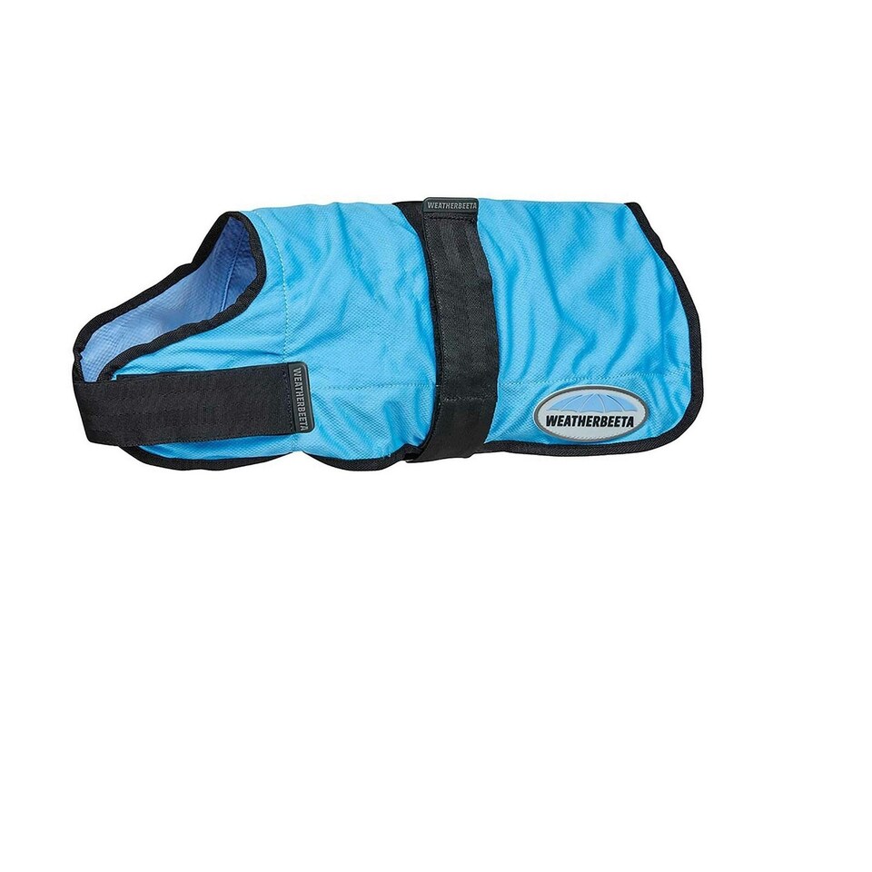 image 1 of Weatherbeeta Therapy-Tec Dog Cooling Coat - Blue - 60cm