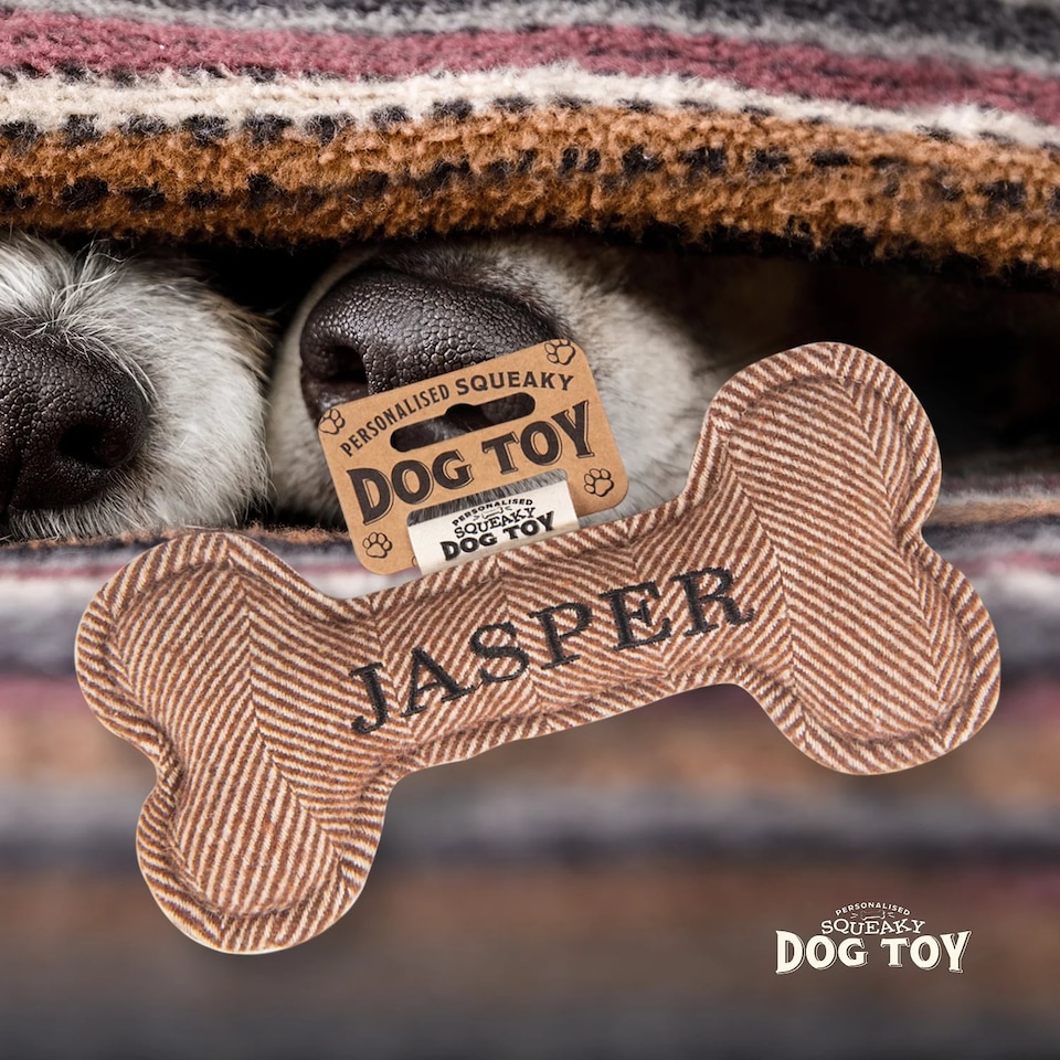image 1 of History & Heraldry Pre-Personalised Squeaky Bone Dog Toy - Jasper