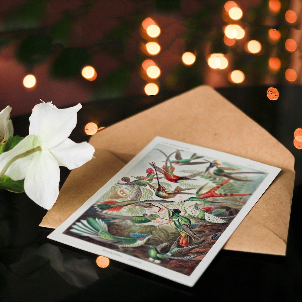 image 1 of Ernst Haeckel Art Card Kolibri Birds Hummingbird Species