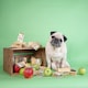 image 2 of YAKERS Apple Natural Himalayan Dog Chews - Pack of 5 (Medium)
