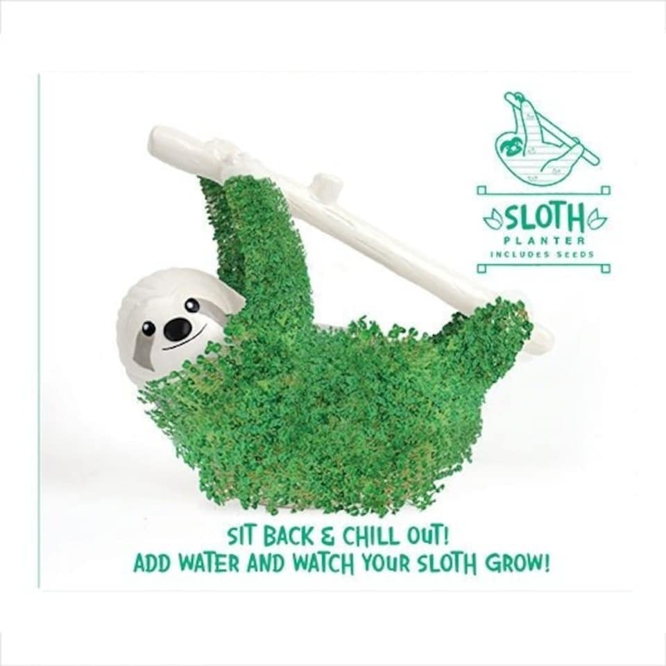 image 1 of Gift Republic Sow & Grow Kit Sloth Planter