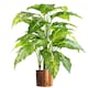 image 1 of 100cm Large Fox's Aglaonema (Spotted Evergreen) Tree Artificial Plant with Copper Metal Planter