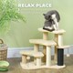 image 5 of PawHut Dog Cat Stairs Pet Steps for Bed Sofa with Scratching Post Beige