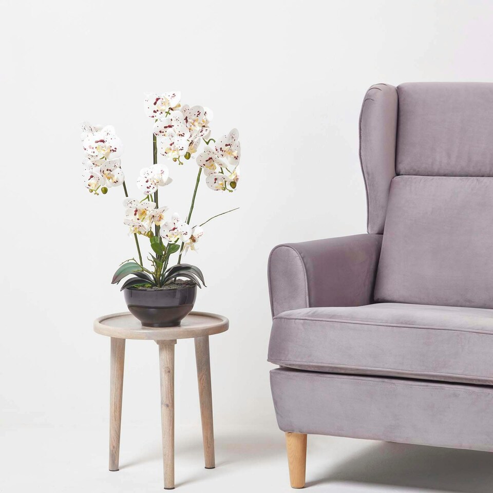 image 1 of Homescapes White Orchid 62 cm Phalaenopsis in Ceramic Pot Extra Large, 5 Stems