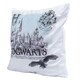 image 2 of Harry Potter Hogwarts Velvet Feel Cushion - White/Black - One Size White | One Size