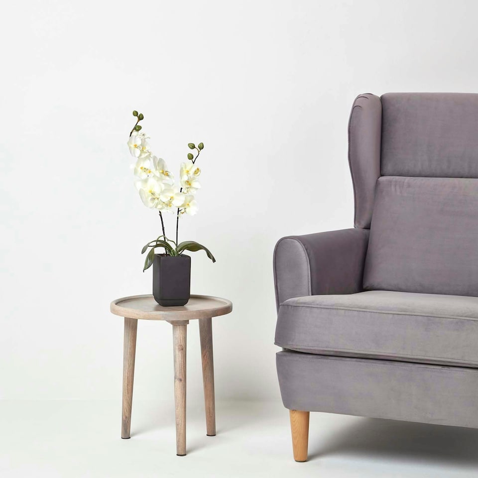 image 1 of Homescapes Set of 2 Cream & Pink Artificial Orchids in Black Ceramic Pots, 55 cm