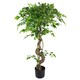 image 3 of Large Artificial Japanese Fruticosa Ficus Tree Gold 120cm 4ft Realistic Botanik | Green | 4ft