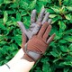 image 2 of Rhinegold Super Stretch Mesh Back Horse Riding Gloves White | Size: X-Large
Colour: White