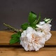 image 2 of Peachy Cream Short Stem Rose Bouquet Artificial Flower - Fabric/Plastic - L25 x W25 x H35 cm - Pink/White